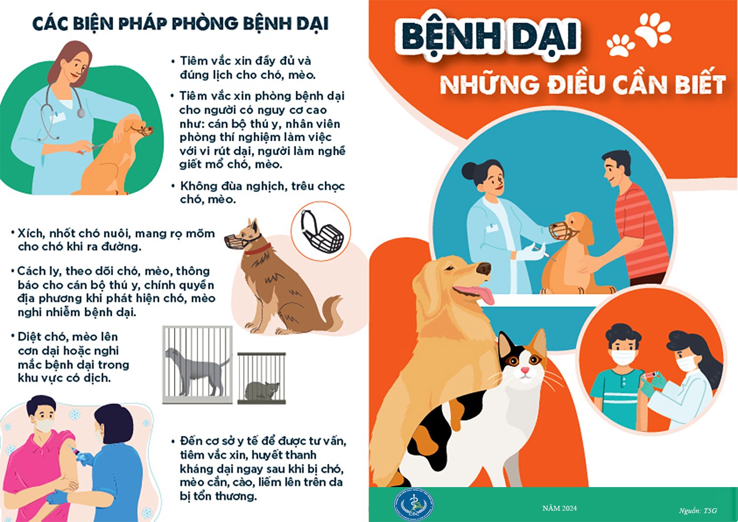 BVTN - Các biện pháp phòng bệnh dại.